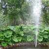 park (16)